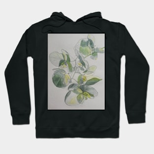 White orchids watercolour painting Hoodie